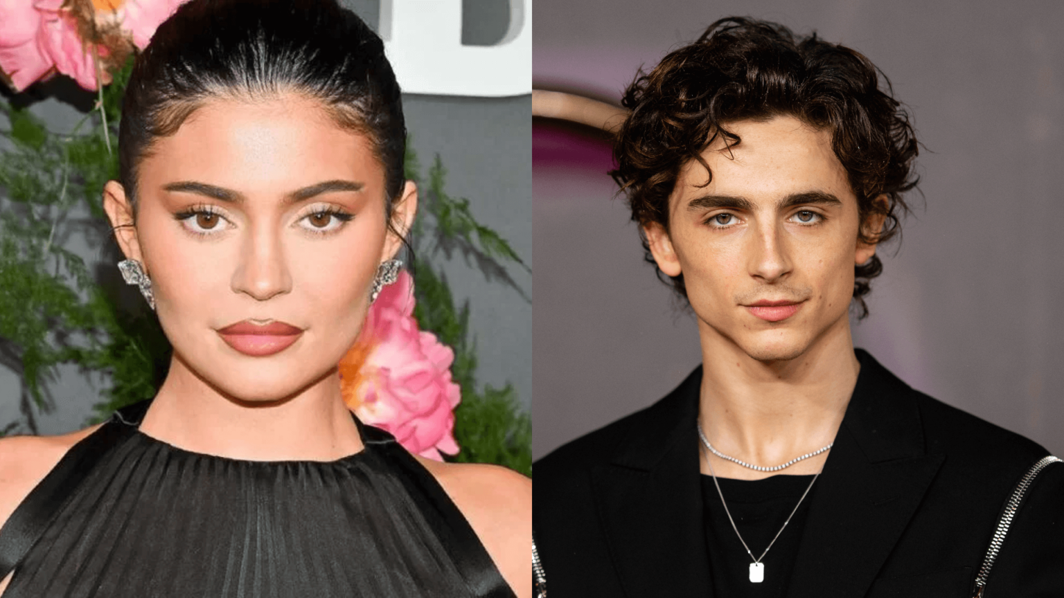 Timothée Chalamet Kylie Jenner Rupture